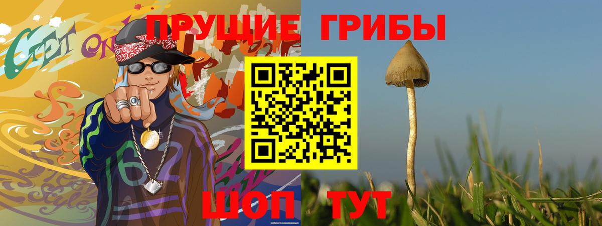 Михайловка  Галлюциногенные грибы прущие грибы  Вход с VPN 